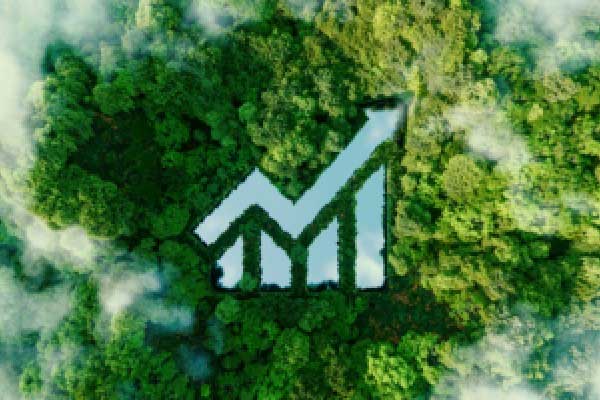 港股黄金股普跌 中国黄金国际跌超5% 金价早盘走低 黄金交易税收政策迎来调整